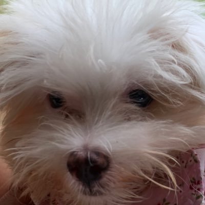 helpw4nted's profile picture. 