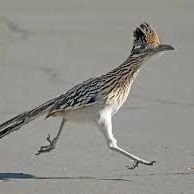 katsu73011938's profile picture. 