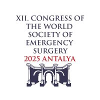 WSES2025 (@wses2025) 's Twitter Profile
