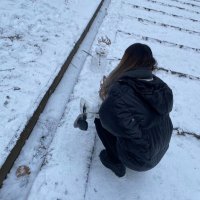のチャン @IDDM🧚♀️ (@1iddm_no_) 's Twitter Profile