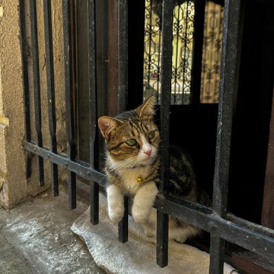 ghansana2003's profile picture. mmmm , this is nice