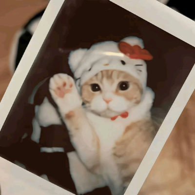 babejungg's profile picture. 08 kub⭐️