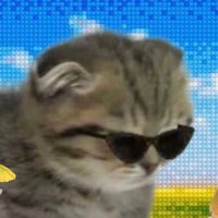 2Dv (@2dvasmr) 's Twitter Profile