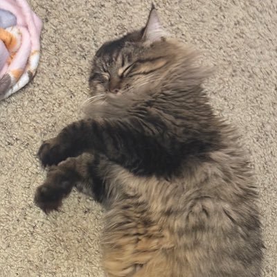 Ra1ndr0p3's profile picture. 