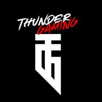 Thunder Gaming (@esthundergaming) 's Twitter Profile