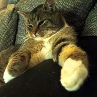 Michl (@hassbo76) 's Twitter Profile