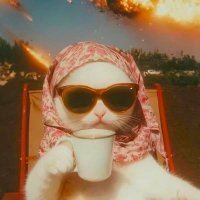 Sra. Aceytuna 🫒 (@aceytuna_pr) 's Twitter Profile Photo Sra. Aceytuna 🫒 (@aceytuna_pr) 's Twitter Profile Photo