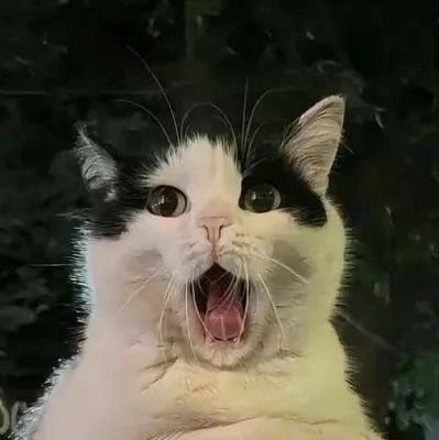 you dont know me, even if you do shhhhhhhhhhhhhhhhhhhhhhhhhhhhhhhhhhhhhhhhhhush