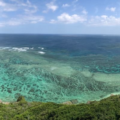 沖縄本島の波情報🏄♀️をツイートしてます。サーフィン好きな人、これからサーフィン始めたい方や沖縄以外の方もフォローお願いします🙇♂️ 質問やご相談はDM下さい♪料理大好き