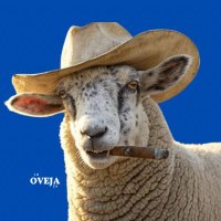 El Borrego 🇸🇻🧢🎖️ (@elborregosv) 's Twitter Profile