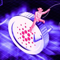 CryptoDadz (@criptodadz) 's Twitter Profile