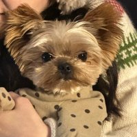 꾸 (@dianzia7) 's Twitter Profile Photo 꾸 (@dianzia7) 's Twitter Profile Photo