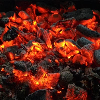 panthera_110's profile picture. أَتُراني أَلَذُّ ماءً وَلَمّا.. يَروَ مِن مُهجَةِ الإِمامِ الغَليلُ؟!
Smoldering ashes waiting to breath.