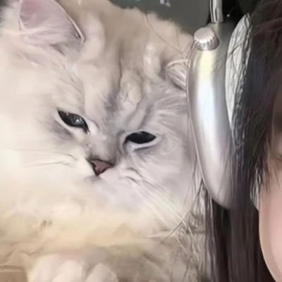 DashawnMea85354's profile picture. 喜歡會噴泉的小美女