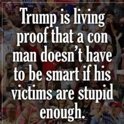 trumpdavidian's profile picture. Father, grandfather, husband, dog owner and long distance runner. Living in reality.