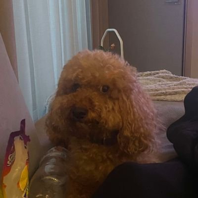 Dompe Profile