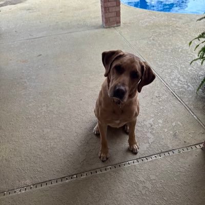 LarryDPerino's profile picture. 