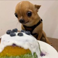Juli π🩶 (@juliettah__) 's Twitter Profile