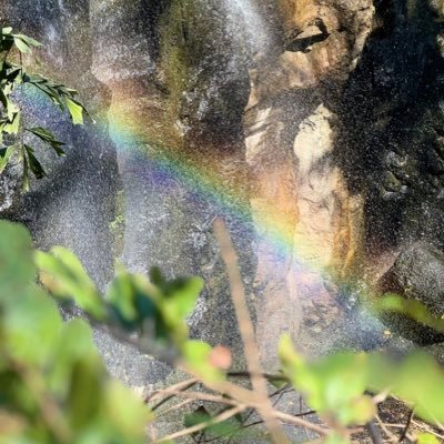 samarksamark's profile picture. 