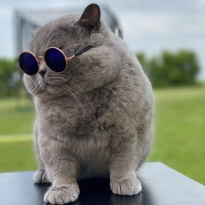 IslomQayum83097's profile picture. 