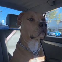 HYDRO (@hydr0sol) 's Twitter Profile Photo HYDRO (@hydr0sol) 's Twitter Profile Photo