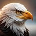 Ojo de Águila (@ojodeguila72264) Twitter profile photo Ojo de Águila (@ojodeguila72264) Twitter profile photo