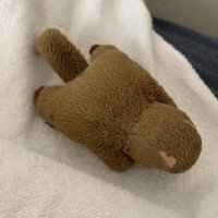 ボクサツ (@f_acidsharp) 's Twitter Profile