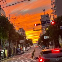 감자 (@esomeprazole0) 's Twitter Profile