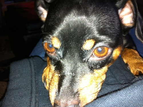 Automedix1's profile picture. 