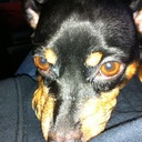 James High - @Automedix1 - Twitter