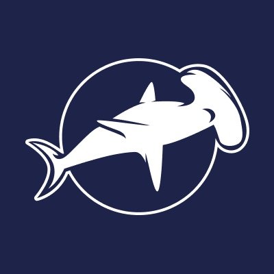 dRisk Profile