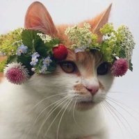 ππππ π― (@atlanticesque) 's Twitter Profile Photo ππππ π― (@atlanticesque) 's Twitter Profile Photo