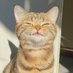Alarmed (@alarmeddd) Twitter profile photo Alarmed (@alarmeddd) Twitter profile photo