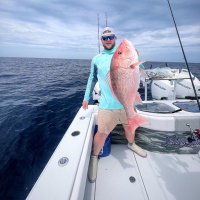 Andrew  Kilfoyl (@kilfoylandrew) 's Twitter Profile Photo