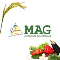 Ministerio Agropecuario de Nicaragua (@mag_nicaragua) 's Twitter Profile Photo Ministerio Agropecuario de Nicaragua (@mag_nicaragua) 's Twitter Profile Photo