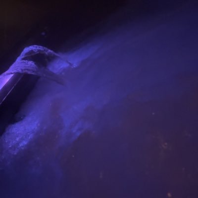 Martialf33's profile picture. gay versa du 33