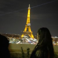 Alissar Alhamad (@alissaralhamad) 's Twitter Profile