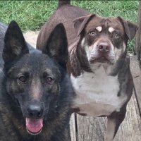 Robert Stafford (@rspeagler) 's Twitter Profile Photo Robert Stafford (@rspeagler) 's Twitter Profile Photo