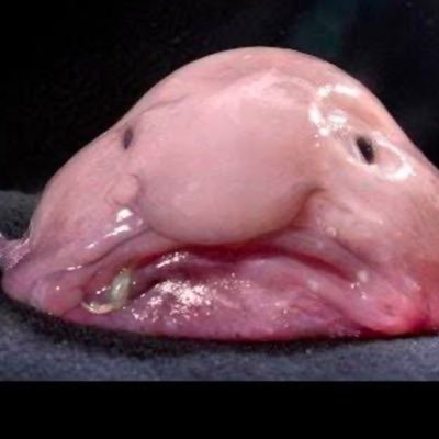 sanq0_rq's profile picture. 