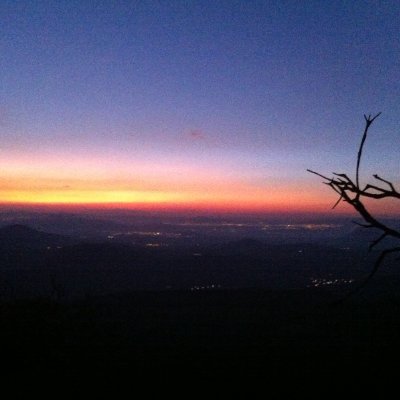 plantbreeder89's profile picture. You and I gonna live forever!