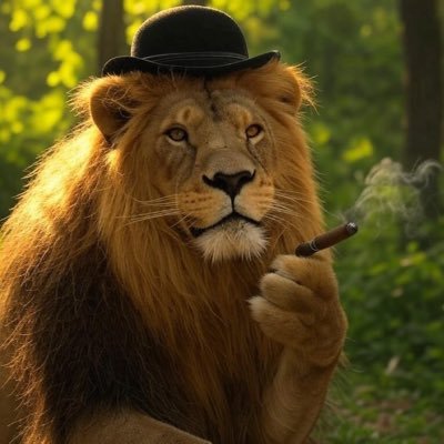 MVesteg's profile picture. 