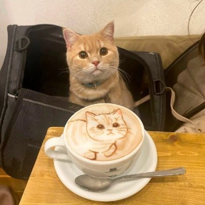 flyindrumsticks's profile picture. waiting here to find the sign