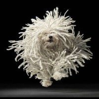 Marta AiL (@martaail) 's Twitter Profile Photo Marta AiL (@martaail) 's Twitter Profile Photo