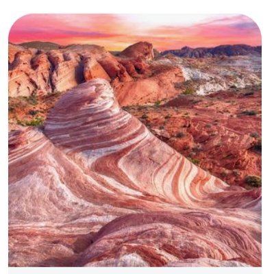 sofiaesbu24's profile picture. 