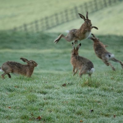 VJZZ's profile picture. Support Advisor , Green Growth & Delivery  for Environment Agency ... Graduate of Seale- Hayne College of Agriculture