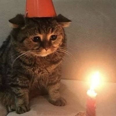 kaydenさんのプロフィール画像