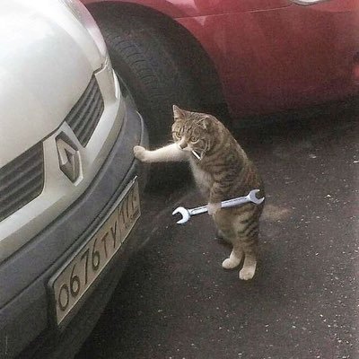 PerceuseParksid's profile picture. 