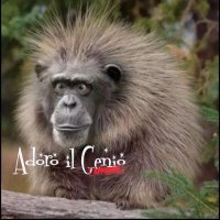 Adoro il Genio (@adoroilgenio) 's Twitter Profile Photo Adoro il Genio (@adoroilgenio) 's Twitter Profile Photo