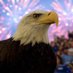 Scott Rubin (@scottru17191523) Twitter profile photo Scott Rubin (@scottru17191523) Twitter profile photo