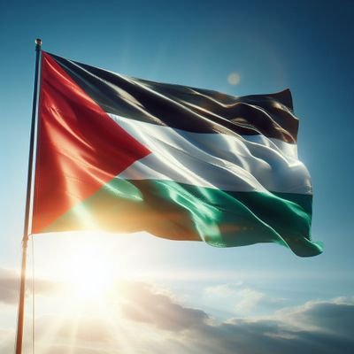 REHAM_khaled33's profile picture. From the city of war and destruction, save  my family. With your contribution, we can provide for our needs and start again Donate through the link below 👇🍉